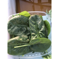 Spinach